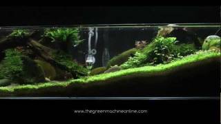 Tributary aquascape by James Findley [upl. by Euell18]