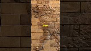 The Mesopotamian King of Babylon Hammurabi [upl. by Mannos]