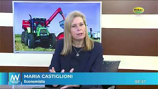 María Castiglioni  Economista [upl. by Stanley]