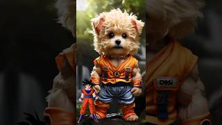 DBZ GOKU IN MALTIPOO PUPPY MODEDRAGONBALL ZSIMPAPA [upl. by Nnauol310]