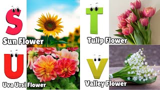 Flowers ABC Song for Kids  Phonics for Kids  English Alphabet Letters [upl. by Nivar845]