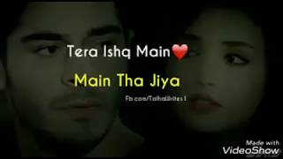 Tery Ishq Ma Mai Tha Jiya  T Writes  Song  Lyrics [upl. by Annaor]