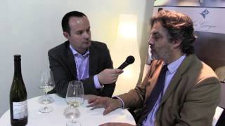 Guido Folonari Philarmonica Vinitaly 2016 Beverfoodcom Intervista [upl. by Fenwick]