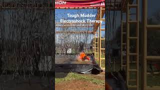 Tough Mudder Electroshock Therapy [upl. by Dorman]