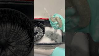 mop bucket clean 🫧 asmr cleantok explore explorepage fyp shorts satisfying [upl. by Neeron]