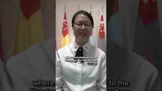 Quickfire Questions with LTC Tan Xin Hui at MINDEFSAF Promotion Ceremony [upl. by Nikolos]