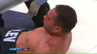 Wladimir Klitschko vs Kubrat Pulev KO [upl. by Atile]