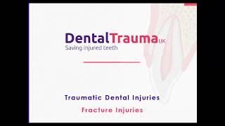 4 Traumatic Dental Injuries Part 1 Fracture Injuries Type 4 EnamelDentinePulp Fractures [upl. by Jepson300]