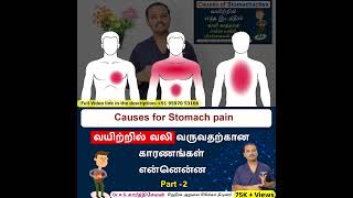 Vid 2  Stomach Pain Stomach Pain Explained in Tamil  வயிற்று வலிக்கான காரணங்கள் என்ன [upl. by Cyndi]