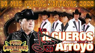 Los Jilgueros Del Arroyo Lo Mas Nuevas Norteñas 2022  Puros Corridos Mix [upl. by Armmat576]