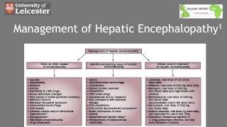 Management of Hepatic Encephalopathy in 5 Minutes [upl. by Aoket]