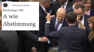 Abstimmung Beschlussfassung im Parlament [upl. by Janette]