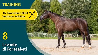 No 8 Levante di Fonteabeti by Glamourdale  Training  Verden Auction Online  November 16th [upl. by Leilani]