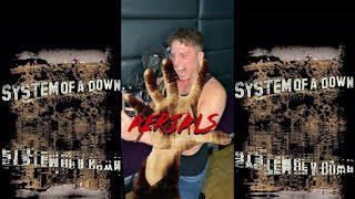 Aerials  System of a Down Vocal Cover [upl. by Verney365]