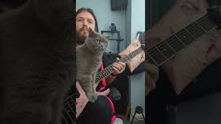 Periphery  Reptile Guitar practice feat StanleyCat [upl. by Buyer259]