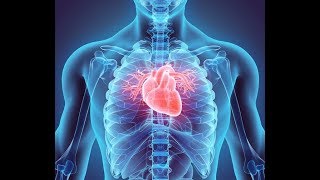 Cardiovascular System Cardiac Cycle [upl. by Habeh190]