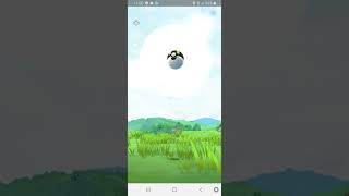 Pokémon Go Capture de Caninos de Hisui shiny [upl. by Kauslick]