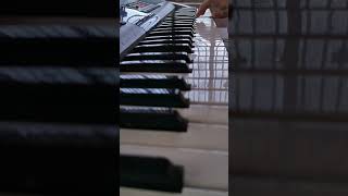 Channa mereya mereya song on piano piano shorts [upl. by Levey389]