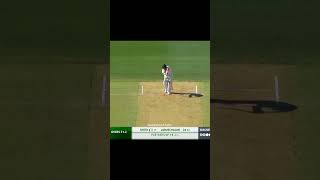 Steve Smith Against New Zealand Part 1 shorts [upl. by Ainirtac292]