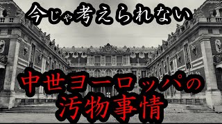 【衝撃】街中〇〇だらけ！今じゃ考えられない中世ヨーロッパの汚物事情 [upl. by Haduj]