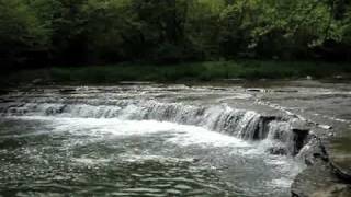 Hueston Woods State Park Waterfalls Trail Scenic View [upl. by Stephanus]