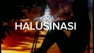 HALUSINASI  MeL shAndy Lyrics [upl. by Jacquelin414]