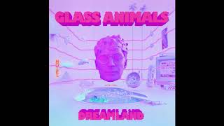 Glass Animals  Helium [upl. by Purpura]