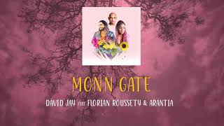 David Jay  Monn Gate feat Florian Roussety amp Arantia LYRIC Video [upl. by Ecal373]