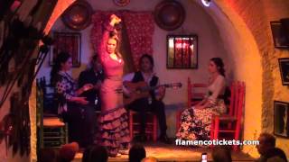 Cuevas Los Tarantos Flamenco Show in Granada  Video 1 Flamencoticketscom [upl. by Lesiram]