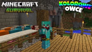 Stworzyłem Fabryke Kazdego Koloru Wełny W Minecraft NICE  Minecraft 1122 Survival [upl. by Diarmit]