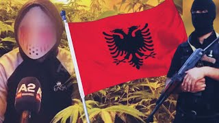 How the Albanian Mafia RUINED the Stardawg Strains [upl. by Pontone167]