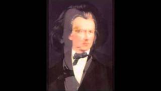 Johannes Brahms In Performance [upl. by Lekim510]