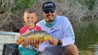 Peacock Bass Revenge  Pompano Beach Florida Fishing [upl. by Alimac261]