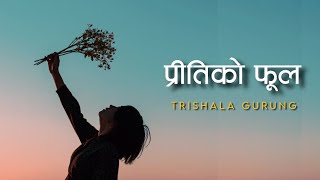 Preeti Ko Phool cover  Trishala Gurung  Lyrics Video [upl. by Ynned]