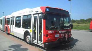 OC Transpo Exclusive  2010 New Flyer D60LFR Part 2 [upl. by Noislla190]