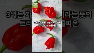 세계에서 가장 매운 고추 BEST 5 [upl. by Hanavas440]