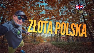 Złota Polska  Wybiegane Mam Running Vlog [upl. by Ahselaf]