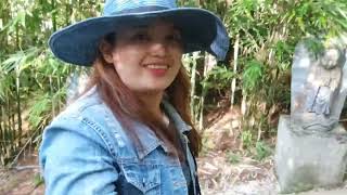 PART 2 BOTANICAL GARDEN TOUR VLOG  great chen igorota vlog [upl. by Annez]