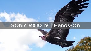 Sony RX10 IV  HandsOn [upl. by Gasper]