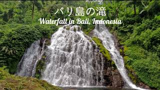 バリ島の滝【Waterfall in Bali Indonesia】 [upl. by Klemperer372]