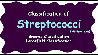 streptococci  Lancefield classification of streptococci  streptococcus species [upl. by Zachariah]