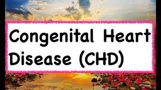 Congenital Heart Disease CHD  Hindi amp English [upl. by Bannister]