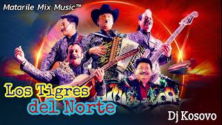 Los Tigres del Norte  Dj Kosovo [upl. by Airretal]