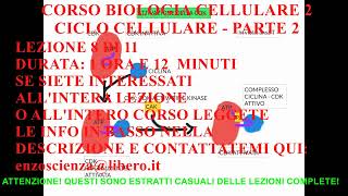 CORSO DI BIOLOGIA CELLULARE 2  LEZIONE 8  CICLO CELLULARE  PARTE 2 [upl. by Justen948]