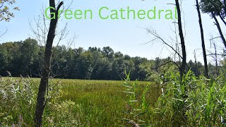 quotGreen Cathedralquot  Piano version  original song by Adam Brooks [upl. by Ehlke]