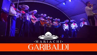 Mariachis Villavicencio 3142198548 GARIBALDI [upl. by Tommi]