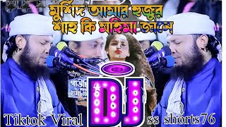 মুর্শিদ আমার হুজুর শাহ কি মহিমা জানে Viral Gan Murshidabad Ki Mahima Jaane gaan ডিজে গান dj 2024 [upl. by Burch]