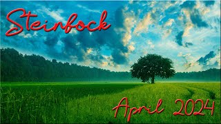 ♑ Steinbock  April 2024 ♑  Der Elefant im Raum [upl. by Ninahs]