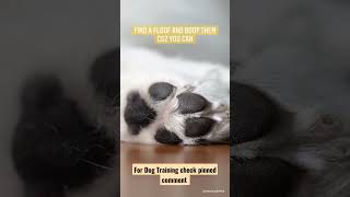 Toe beans [upl. by Ecertal]