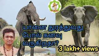 யானைதுரத்துவது போல் கனவு வருகிறதா elephant dream in tamil [upl. by Kitchen]